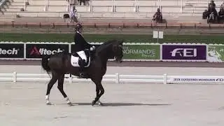 HeartHorse Dressage - Voiceover of my World Equestrian Games Freestyle test! Representing Canada