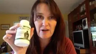 Angie and Active Restore