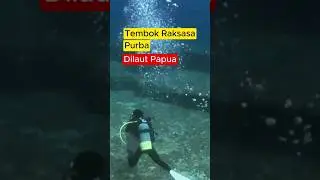 TEMBOK RAKSASA DI LAUT PAPUA #fakta
