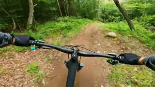 Green Woodlands | Upper Norris Hill