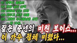 이 가수 보이스 중독성 대박!! 중년 위로의 트로트 모음｜첫소절부터 미쳤다!