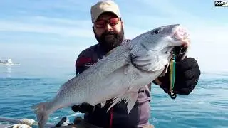 Adana balık avı - kuzu, lüfer, ceylan, minekop