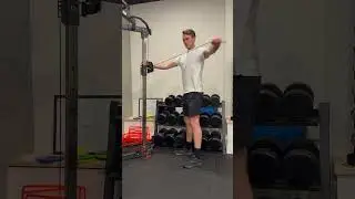 Single Arm Cable Reverse Fly
