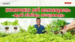 Monthly Income Through Hydroponics - Farming Method and Possibilities