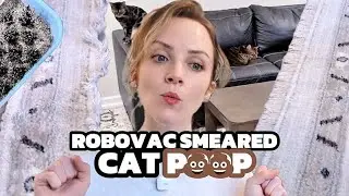 Надо было сказать | Портативный пылесос для чистки ковров STARRYBOT с технологией пара и нагрева,...