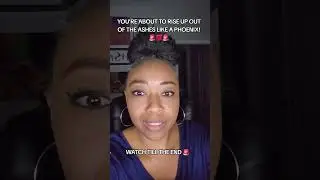 YOU'RE ABOUT TO RISE UP OUT OF THE ASHES LIKE A PHOENIX! #PHOENIX #REBORN #fireyfurnance #FY