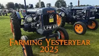 Farming Yesteryear 2025 (Scone Palace) - Fordson & Caterpillar Vintage Tractors Line-Up.