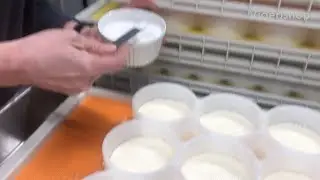 Full day cheese making