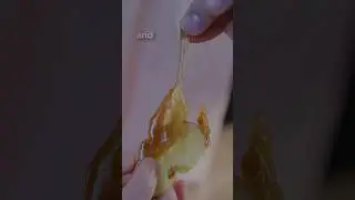 Making Sugar Free Salted Carmel That&rsquo;s Actually Good (it&rsquo;s really easy).