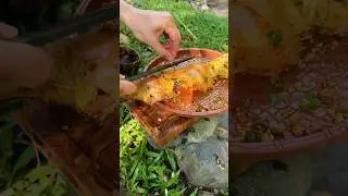 Campfire Taste &ndash; P1 🔥Cooking by the fire, beside a peaceful stream.Just calm and nature. 🌿