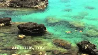 Honolulu Ford Theatre Ad #5 w/Ford Focus  &copy; 2012 Farish Media, Inc.