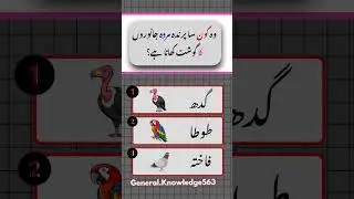 Urdu quiz | Urdu General Knowledge quiz | Birds quiz  #urduquiz #shorts
