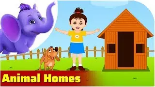 Animal Homes | Nature song for Kids | 4K | Appu Series