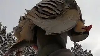 KARDA TAVŞAN KEKLİK AVI. Tavşan avı. Rabbit hunting, صيد الارنب, охота на кроликов Partridge hunting