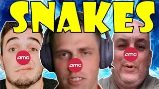 AMC Stock Just Got B*TCH SLAPPED - APE Stock PLUNGES - Trey's Trades + Matt Kohrs SCREWED YOU #amc