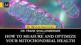 How to Measure and Optimize Your Mitochondrial Health &ndash; Interview With Dr. Frank Shallenberger