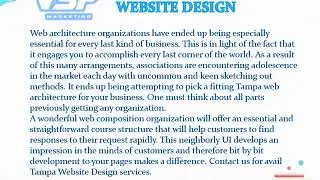 Tampa Website Design  - VSF Marketing