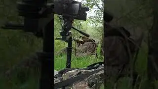 Father and son turkey hunt #springthunder #longbeard #turkeyhunting tur