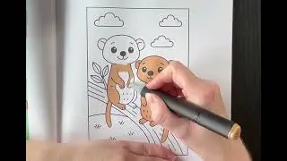 Relaxing Meerkat Colouring Page Zoo Animal Colouring Book Full Length Video