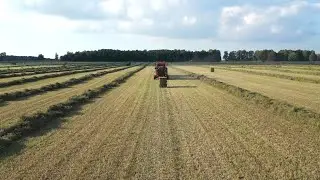 Marcrest 210 Baler/Bale Baron Productivity