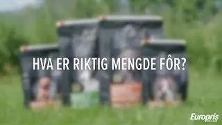 Hva er riktig mengde hundefor? : Bytt f&ocirc;r &ndash; Max enkelt!