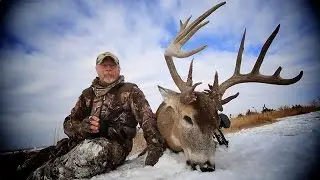 A Monster Buck Named Dagger