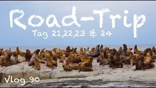 Mehr Pinguine! Monte Le&oacute;n Nationalpark und Rada Tilly - Vlog 90