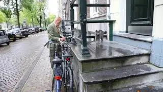 Advocaat en  politicus Theo Hiddema met zijn kat Bram