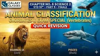 10th Std Science 2 Ch. No.6 &ndash; Animal Classification (Part 5)  Quick Revision in Hinglish | SSC | 