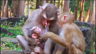 Warmth! Beautiful newborn baby Lucan is so adorable showing love to moms Luay and Lexi