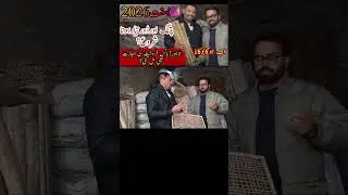 bamboo price Lahore Basant 2026 #junoonnewsnetwork #haiderali #ytshorts #youtube #shorts #basant