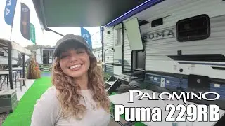 Palomino-Puma-229RB