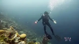 Une plongée avec grand-papa, 83 ans, à Bonaire