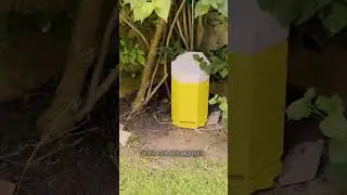 Beehive printed on a 3D printer