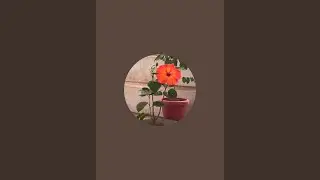 green garden support to hariyali  is live