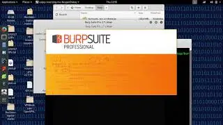 Burp Suite Professtional Beta 2.0 In Kali Linux
