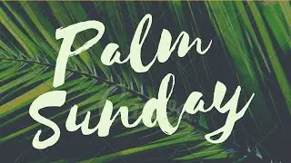 Palm Sunday: The Sunday Of The Passion