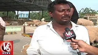 Telangana State Cotton Farmers In Concern With Lack Of Minimum Support Price | V6 News