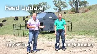 Want Healthier, Heavier Calves? Start Here with Ag Valley Creep Feed!