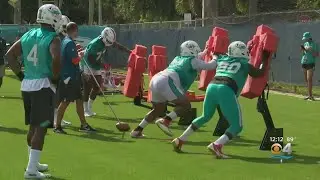 Dolphins Training Camp 2019 Underway In Davie