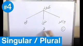 Adad - Singular & Plural FastTrack | عدد | Arabic Grammar | Urdu | Lesson # 4.3