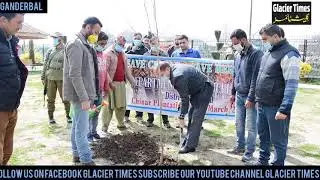 DC Ganderbal kick starts Chinar plantation drive : Bureau Report Glacier Times