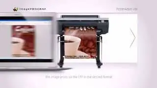 Canon LFP Software - Microsoft Office Plug-In & PosterArtist Lite