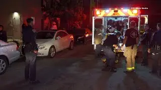 Man Shot At Blvd 63 Apartments