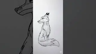 How to Draw a Fox in 1 Minute! 🦊🎨