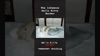 Печально известное убийство Hello Kitty | #историиоправданныхпреступлений #любительправдивыхпрест...