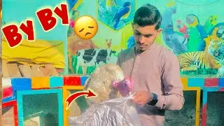 BY BY Turkeys 🦃 sadaqat emotional 😭