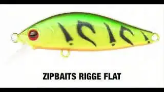 ZIPBAITS RIGGE FLAT 45 S