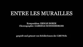 Entre les murailles (Erwan Borek / Gabriele Schneeberger)