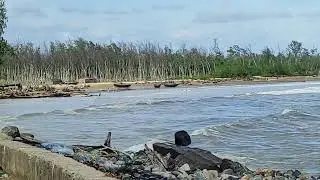 Tajpur Diaries | Exploring Bengal&rsquo;s Untouched Coastline